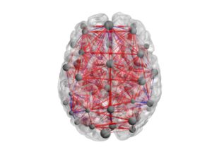 Brain Topographical Factor Analysis